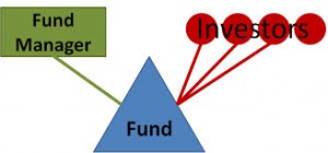 Fund Manager Risk - Mutual Fund